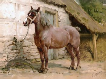 Ardenner Horse by Eerelman